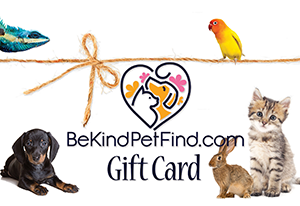 BeKind PetFind Gift Card